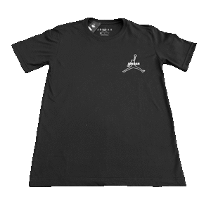 Camiseta Air Jordan